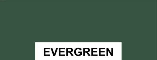 Candor Carports - Evergreene