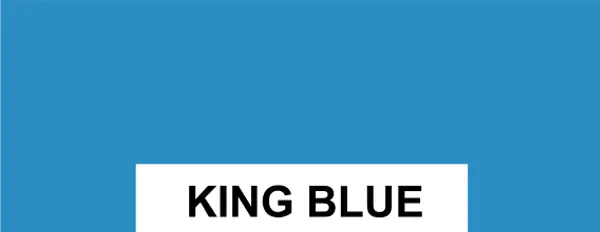 Candor Carports - King Blue